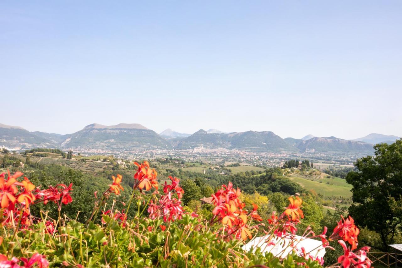 Agriturismo Casalta Gubbio Zewnętrze zdjęcie